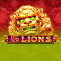 5 Lions