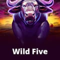 Wild Five