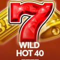 Wild Hot 40
