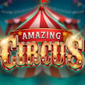 Amazing Circus