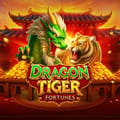 Dragon Tiger Fortunes