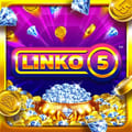 Linko 5