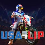 USA Flip