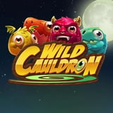 Wild Cauldron
