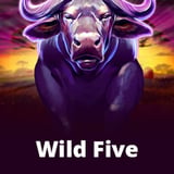 Wild Five