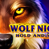 Wolf Night: Hold and Win