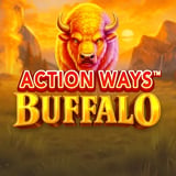 Action Ways Buffalo