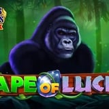 Ape of Luck Gods & Kings Link