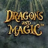 Dragons And Magic