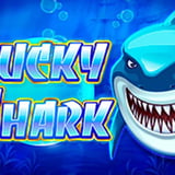 Lucky Shark