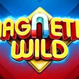 Magnetic Wild