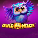 Owls Of Wealth