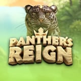 Panther's Reign
