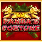 Panda's Fortune