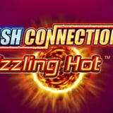 Sizzling Hot Cash Connection