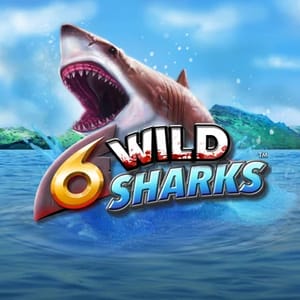 6 Wild Sharks