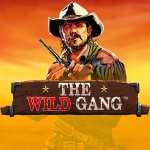 The Wild Gang