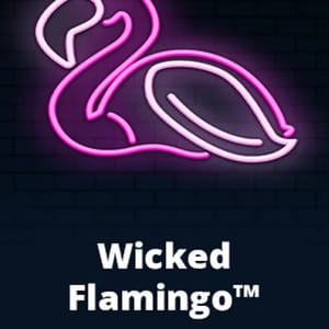 Wicked Flamingo