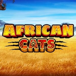 African Cats