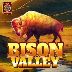 Bison Valley