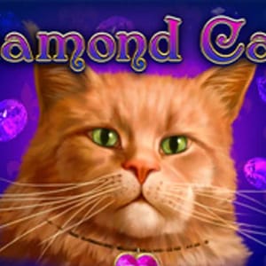 Diamond Cats