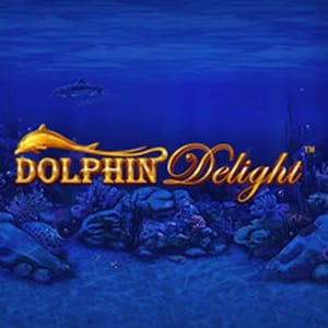 Dolphin Delight
