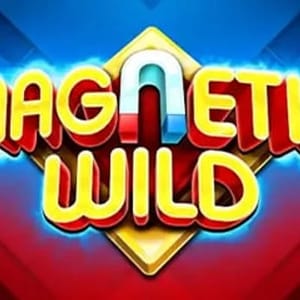 Magnetic Wild