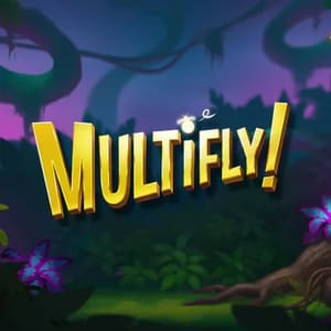 MultiFly!
