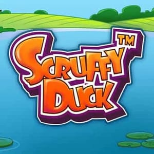 Scruffy Duck