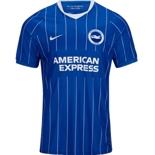 Echipamentul Brighton & Hove Albion