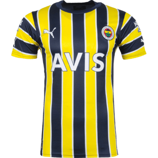 Echipamentul Fenerbahçe