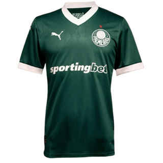 Echipamentul Palmeiras