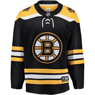 Echipamentul Boston Bruins