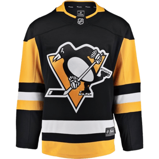 Echipamentul Pittsburgh Penguins