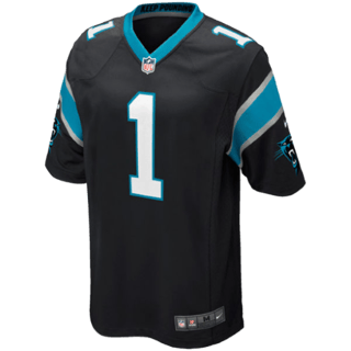 Echipamentul Carolina Panthers