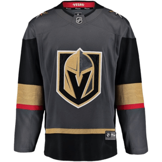 Echipamentul Vegas Golden Knights