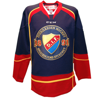 Echipamentul Djurgårdens IF