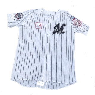 Echipamentul Chiba Lotte Marines