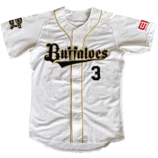 Echipamentul Orix Buffaloes