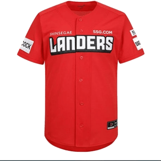 Echipamentul SSG Landers