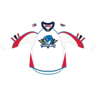 Echipamentul Springfield Thunderbirds
