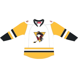 Echipamentul Wilkes Barre-Scranton Penguins