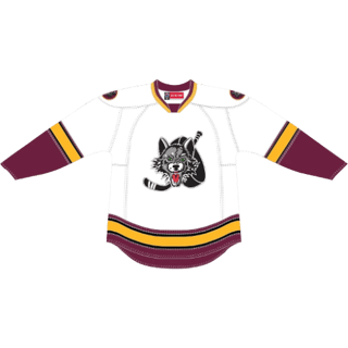 Echipamentul Chicago Wolves
