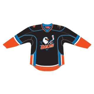 Echipamentul San Diego Gulls
