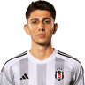 Ege Tıknaz
