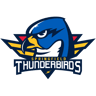 Springfield Thunderbirds